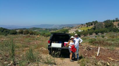 20150520-House_May2015