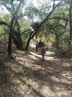 San JuanTrails Ortega Hwy, east of Lake Elsinore